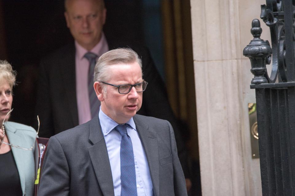 Michael Gove