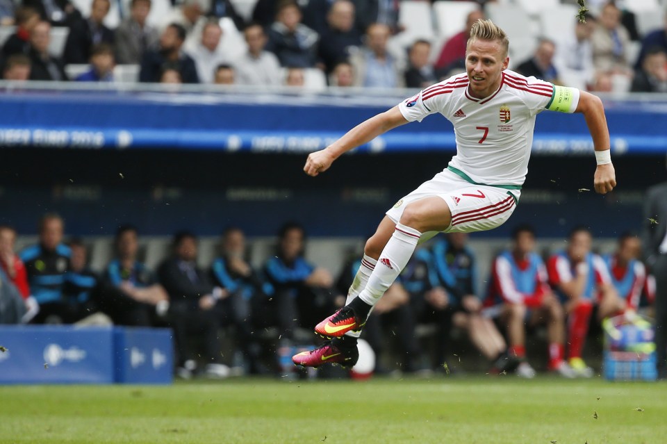 Austria v Hungary - EURO 2016 - Group F