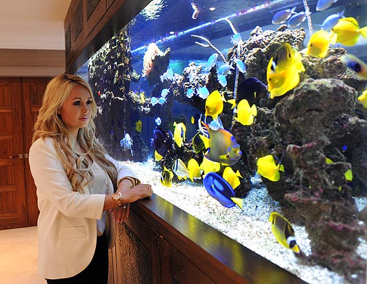  Bride Jessica poses alongside the infamous fish tank