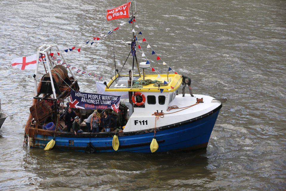 Brexit flotilla Farage Geldof