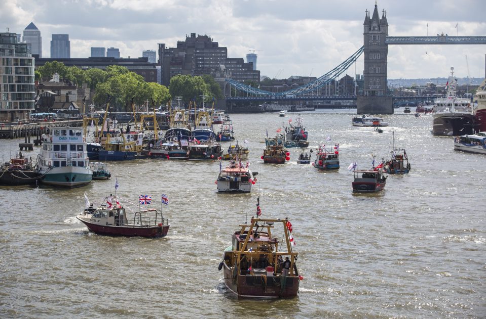 Brexit flotilla Farage Geldof