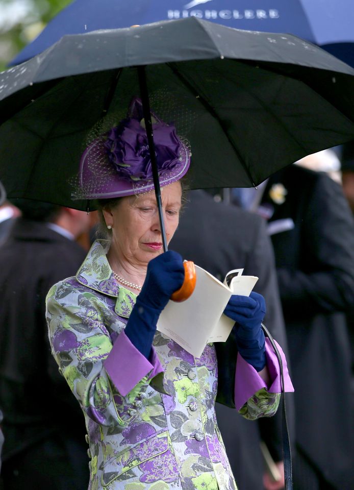  The Princess Royal, a keen jockey in her youth, keenly studies the programme of races as she refuses to let a small rain shower dampen the day