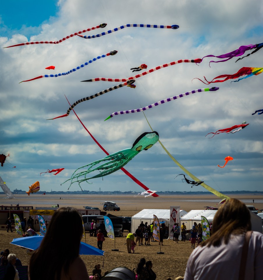  The unusual kites on display at the festival include a 98ft octopus