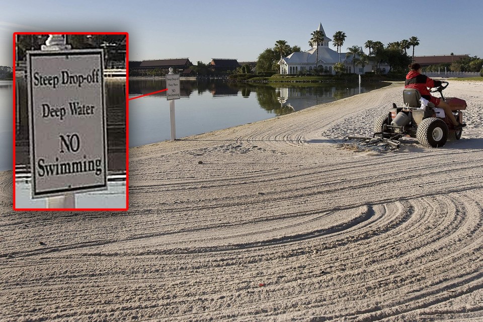  There was a no swimming sign at the lakeside beach but no warning about alligators