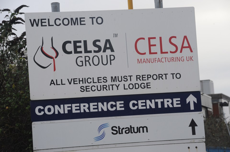  The Welsh government say the majority of the steel for the 'complex' project is from Celsa