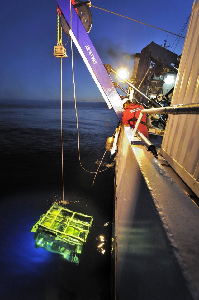 A diving robot is sent in to the depths of the Mediterranean to search for wreckage from EgyptAir flight MS804