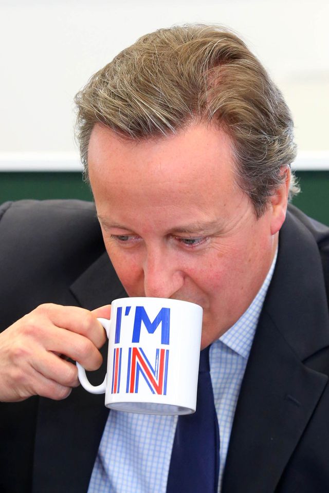 Britain's Prime Minister David Cameron s