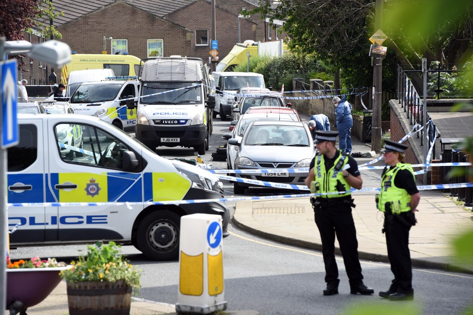  Police at the scene in Birstall town centre after the shooting and stabbing of the Labour MP Jo Cox