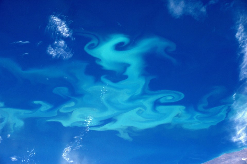 This stunning snap shows a plankton bloom from Tim's vantage point in space