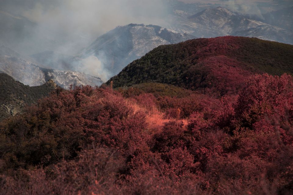 Dry brush makes it easy for fires to spread