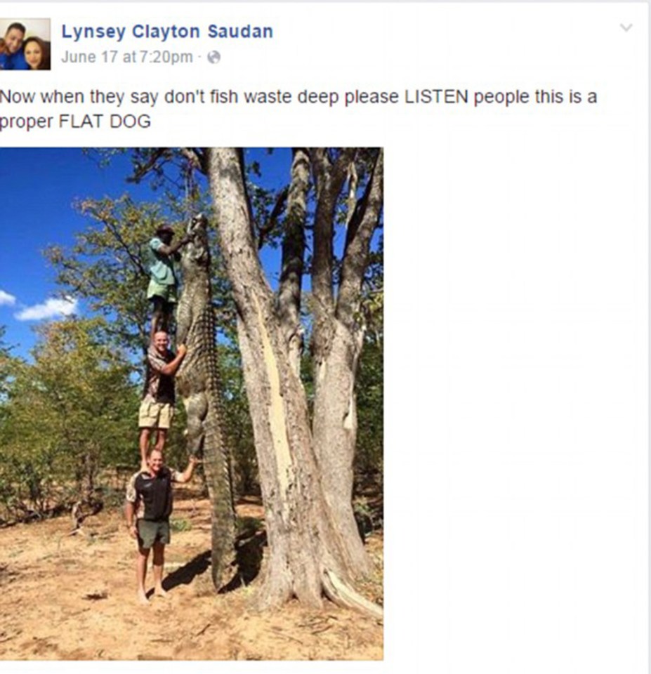 Crocodile Tree Zimbabwe Australia