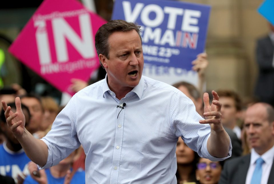 David Cameron urged Britain to vote to remain within the European Union