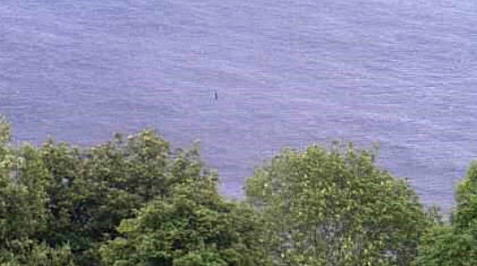  Paranormal investigator believes this could actually be the Loch Ness Monster