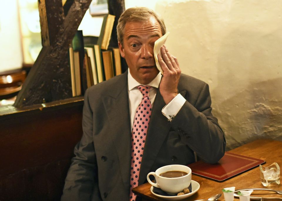  'The Eurosceptic genie is out of the bottle' ... Farage slams Government