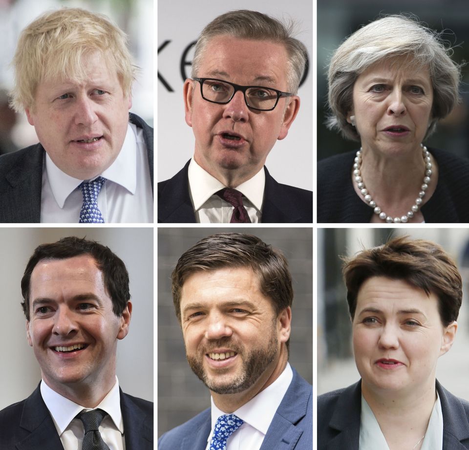  The runners and riders to replace David Cameron as Prime Minister