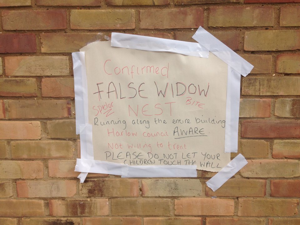  A sign warning about the infestation of false widows - the most lethal in the UK