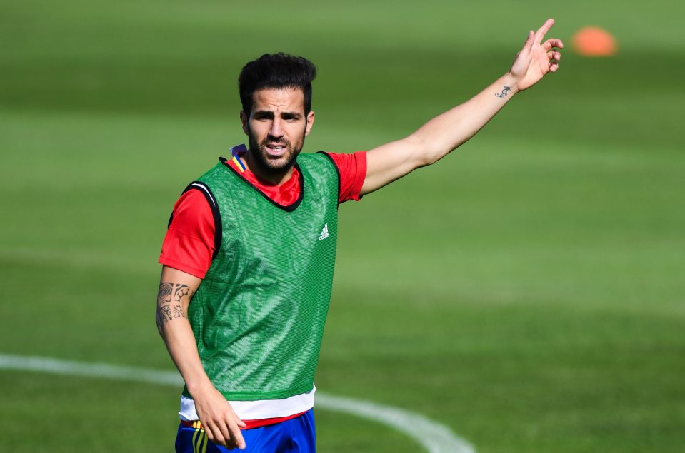 Cesc Fabregas is hopeful that Spain can dump Italy out of Euro 2016