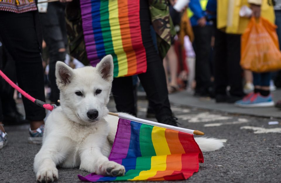 The LGBT Community Celebrates Pride In London