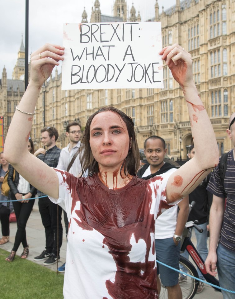 Brexit protest