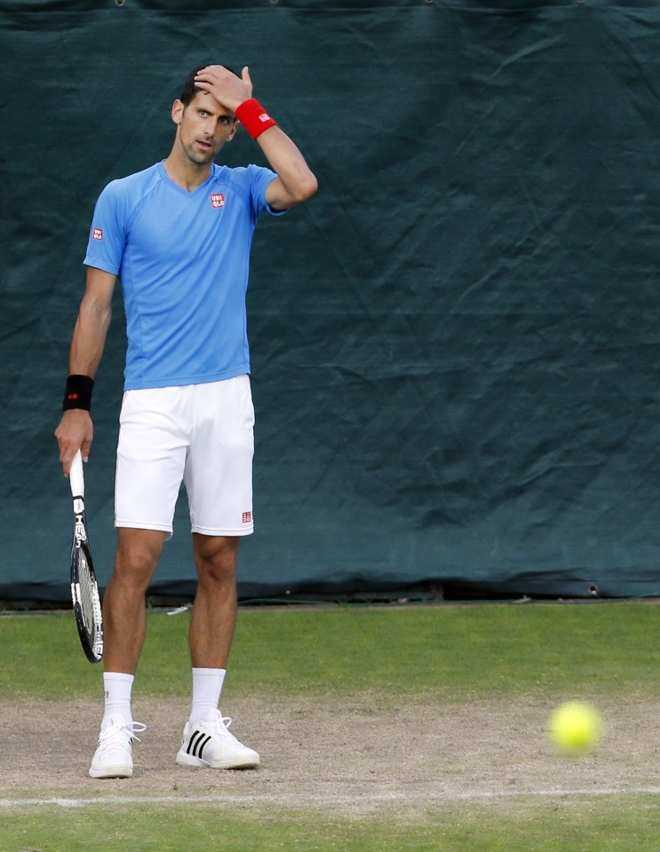  Djokovic was reportedly unhappy to be banned on safety grounds