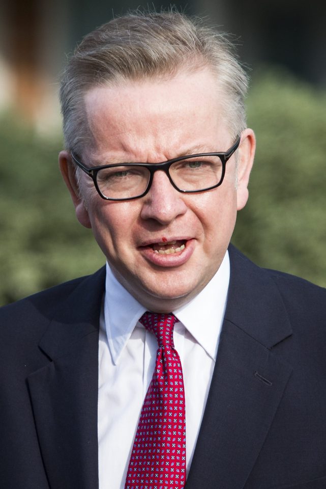 Justice Minister And Leading Brexit Campaigner Michael Gove Leaves Home