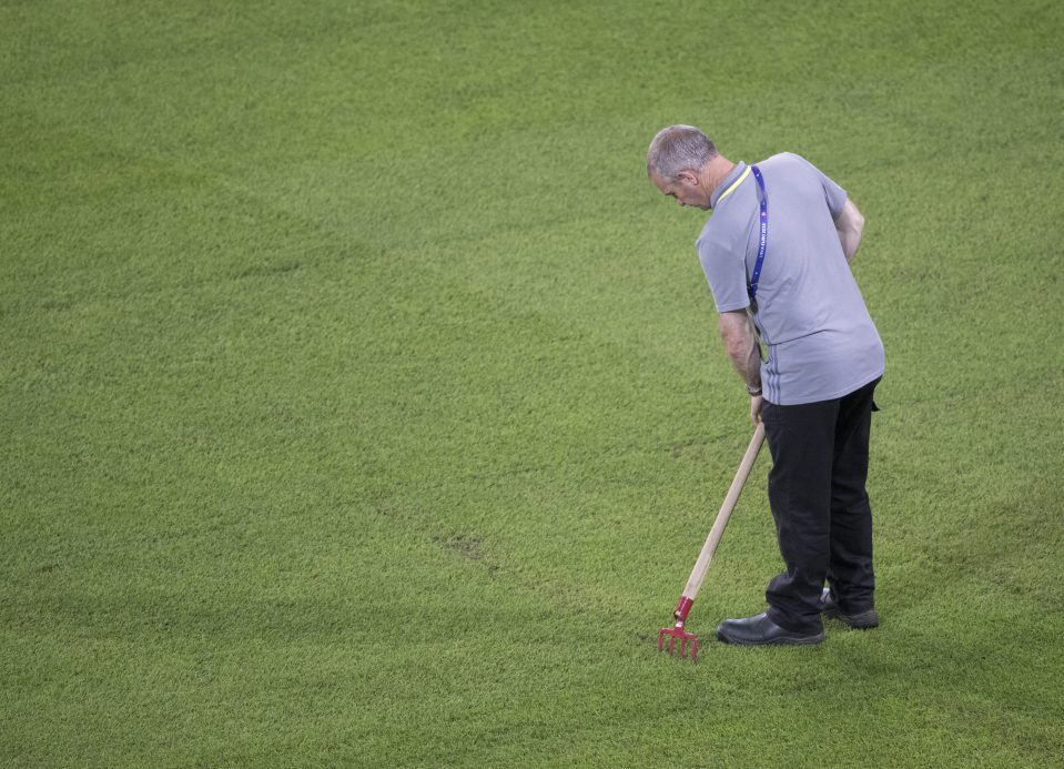 A groundsman rakes it in while treating the Stade Pierre-Mauroy pitch