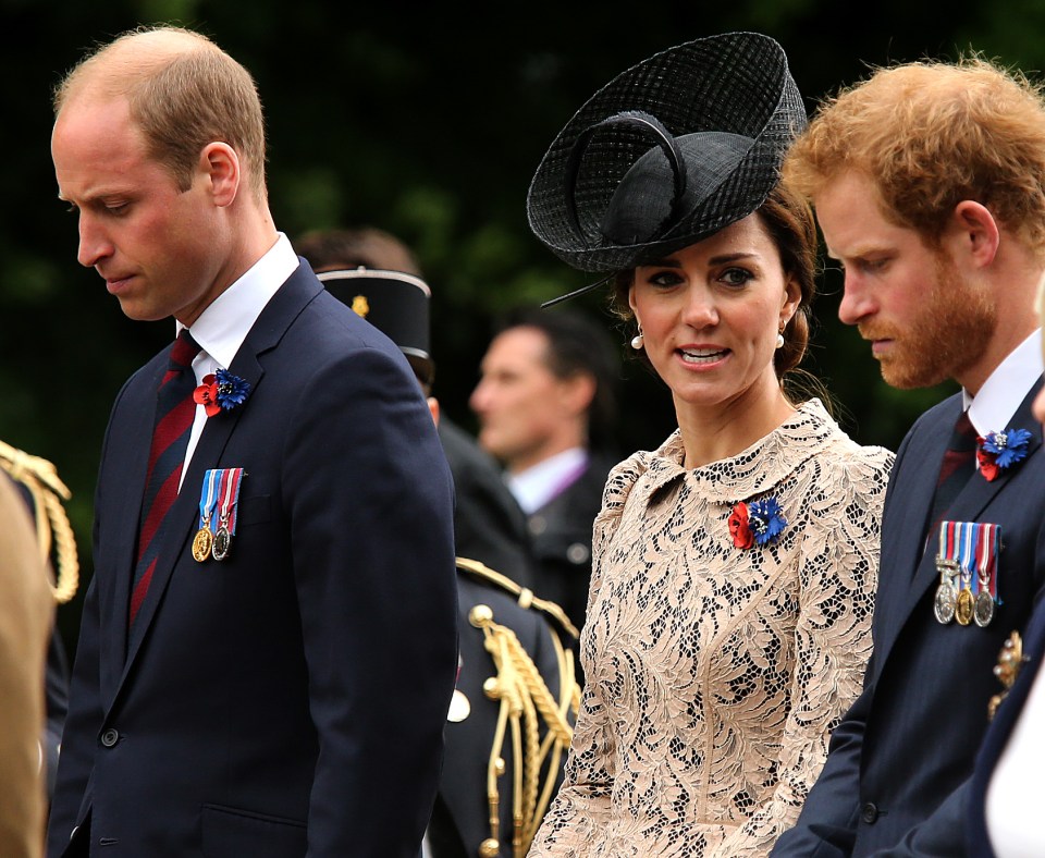  William and Harry joined beautiful Kate in paying their respects to the men who lost their loves in the tragic conflict