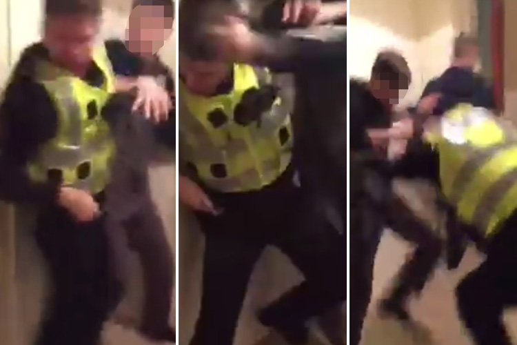 Horrifying footage shows two police officers being violently attacked