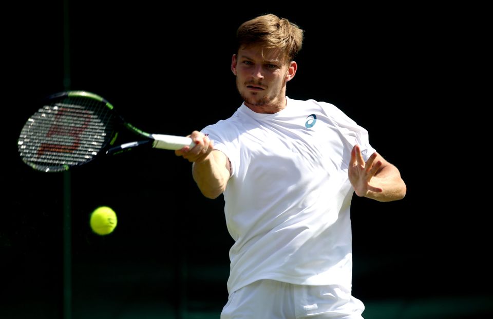 Belgian David Goffin made light work of Alexander Ward