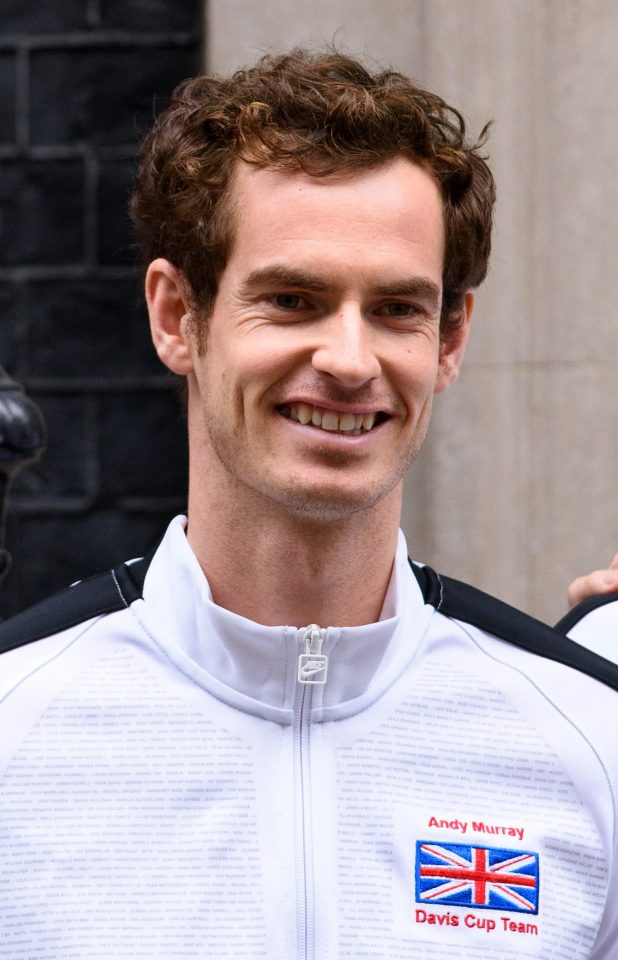  Davis Cup hero Andy Murray is in the top 100 earners of the sports world