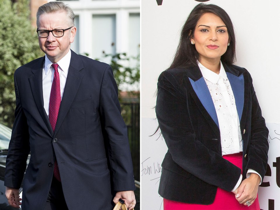  We hope Michael Gove and Priti Patel are in the new Cabinet to help Brexit negotiations