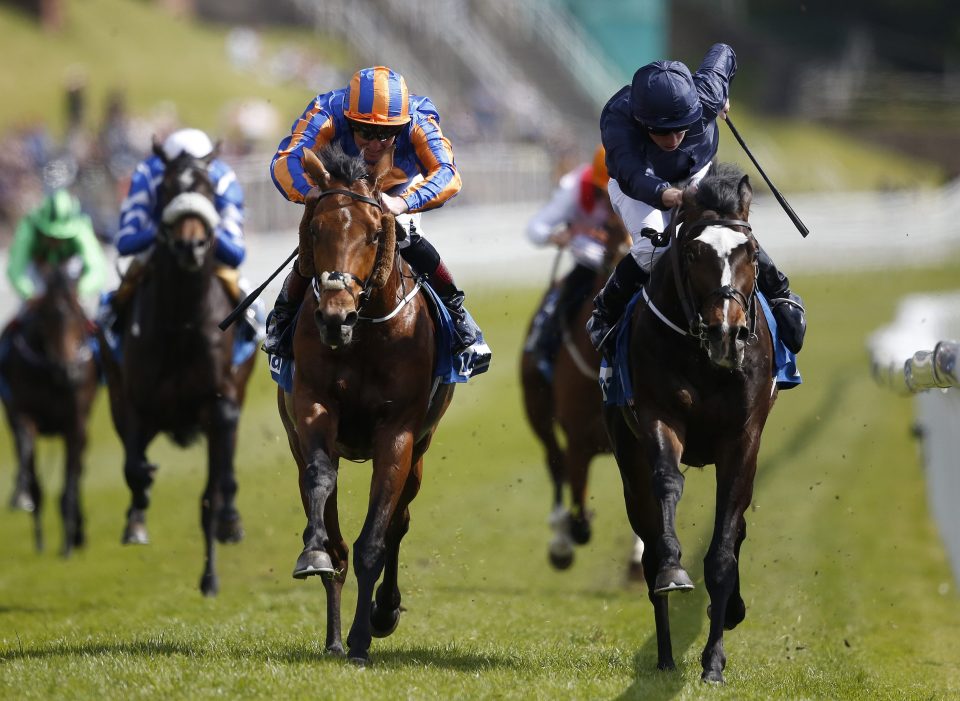  US Army Ranger (right) winning at Chester 12 months ago