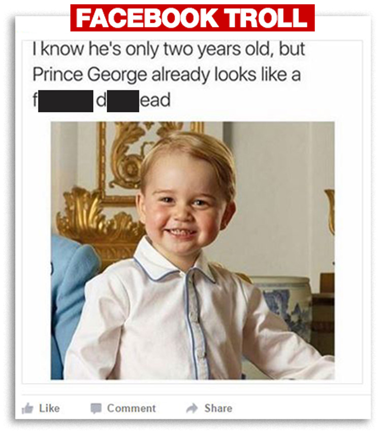  Antisocial media ... Gibbins made her comments beneath the three-year-old’s picture, which someone had posted on Facebook