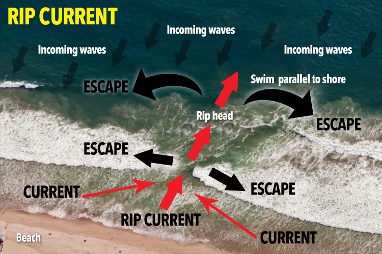 LANDSCAPE-3-x-2-rip-curl-map-one