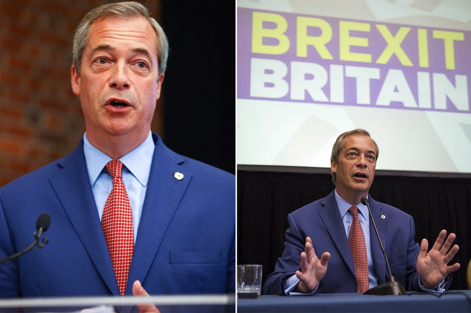 When we are thriving outside the EU we will have Farage to thank for the opportunity