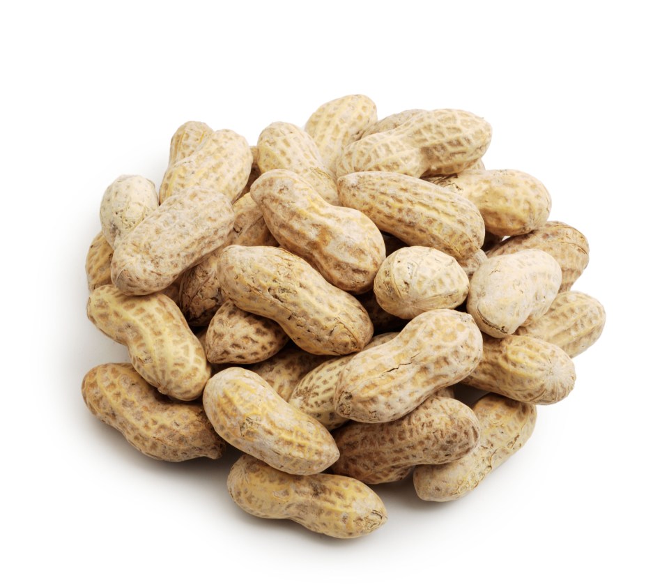  Researchers found that by gradually increasing a small dose of peanut protein, they could treat a large number of toddlers suffering from nut allergies