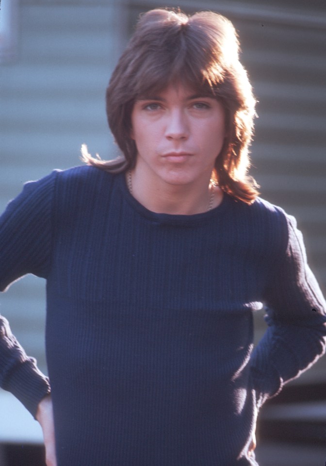 David was a teenage heart throb in the seventies show The Partridge Family 