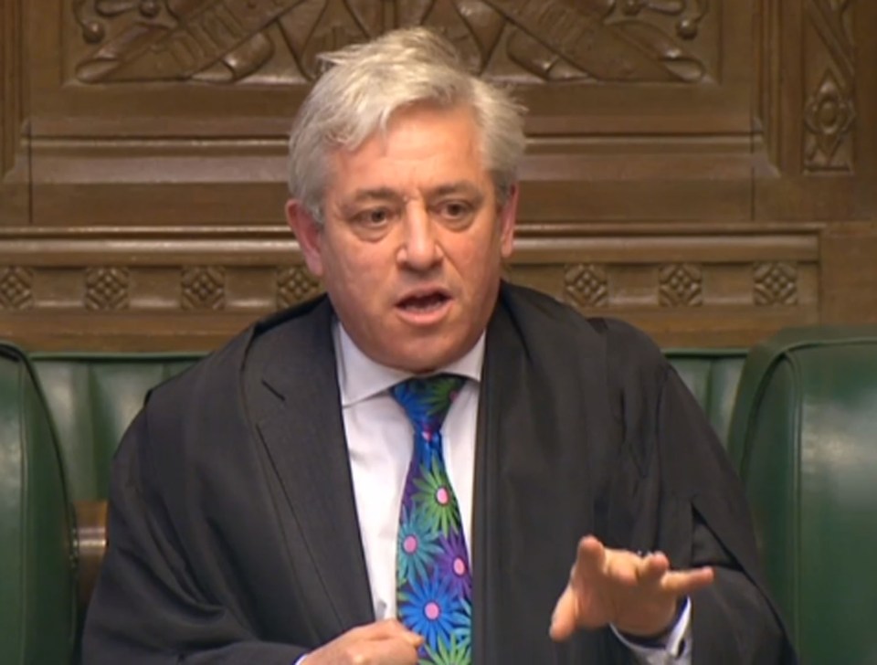 John Bercow 