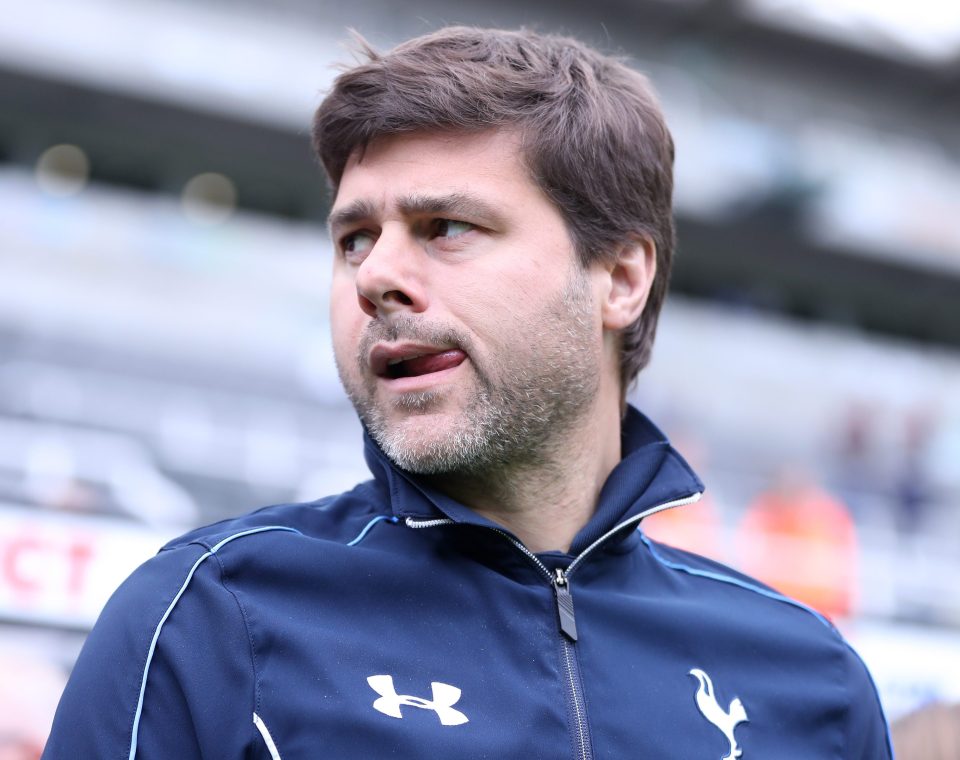  Spurs boss Mauricio Pochettino wants reinforcements to help out Harry Kane