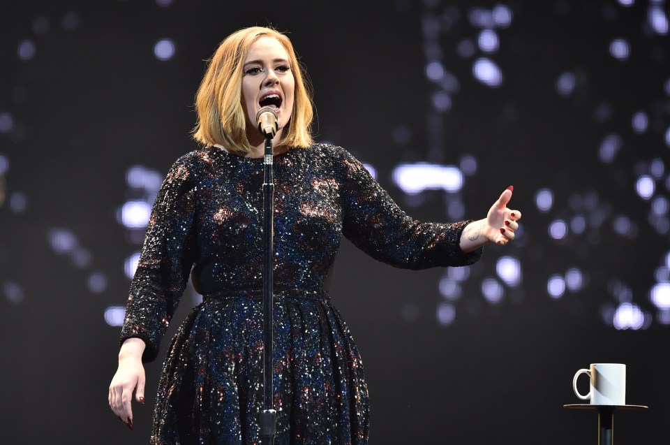  Pleading ... Adele recently stopped a gig to ask people not to keep filming her