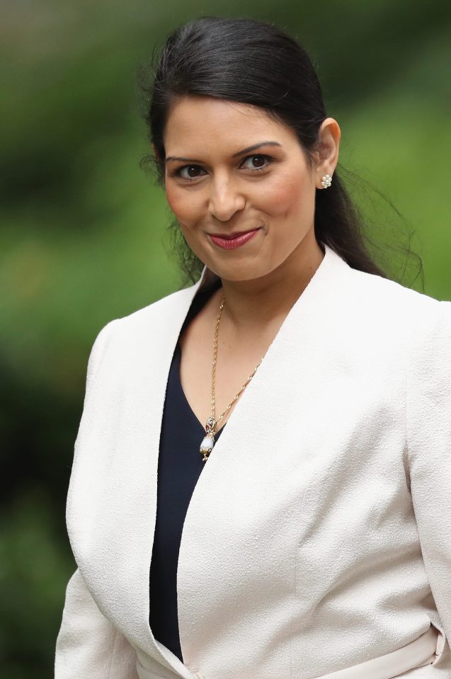  Help at hand ... Theresa May's aides are confident of securing the support of prominent Leave campaigner Priti Patel