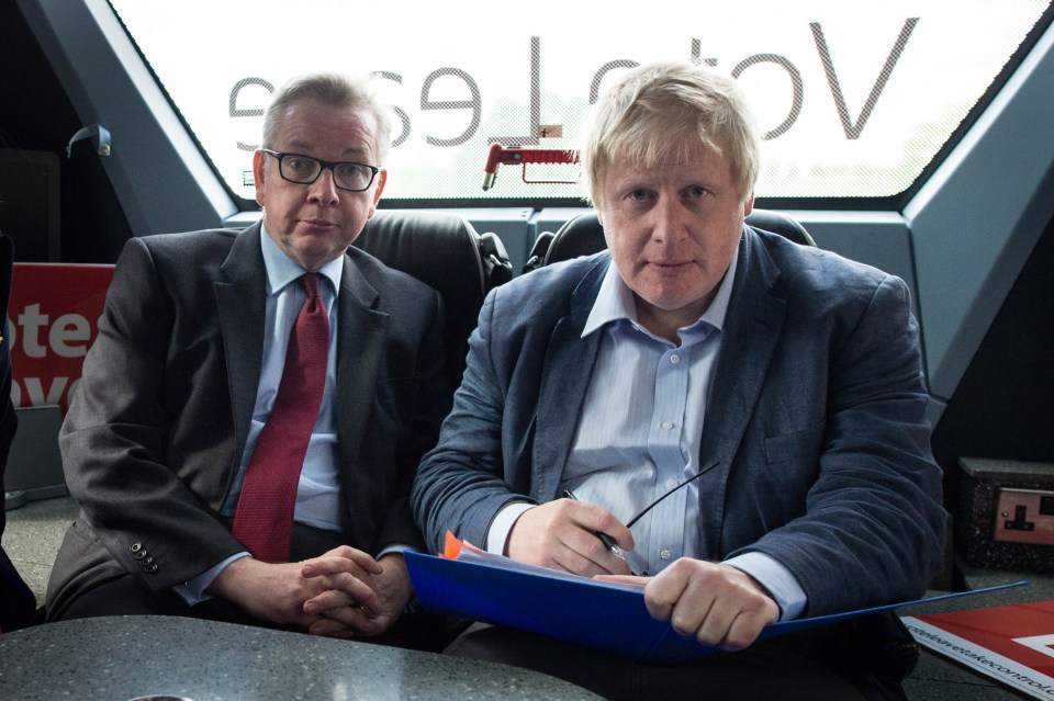 Mr Laws says Gove never thought Boris could be PM