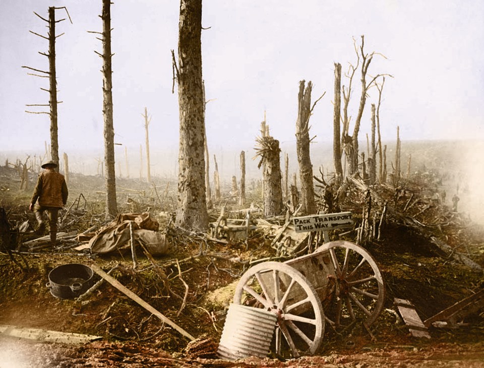  Artillery stripped trees and a signboard pointing the way for pack transport