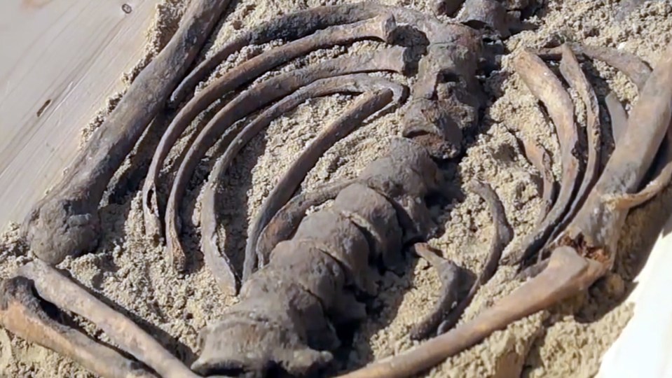 The skeletal remains featured bones with holes in, where stakes had been driven through their limbs