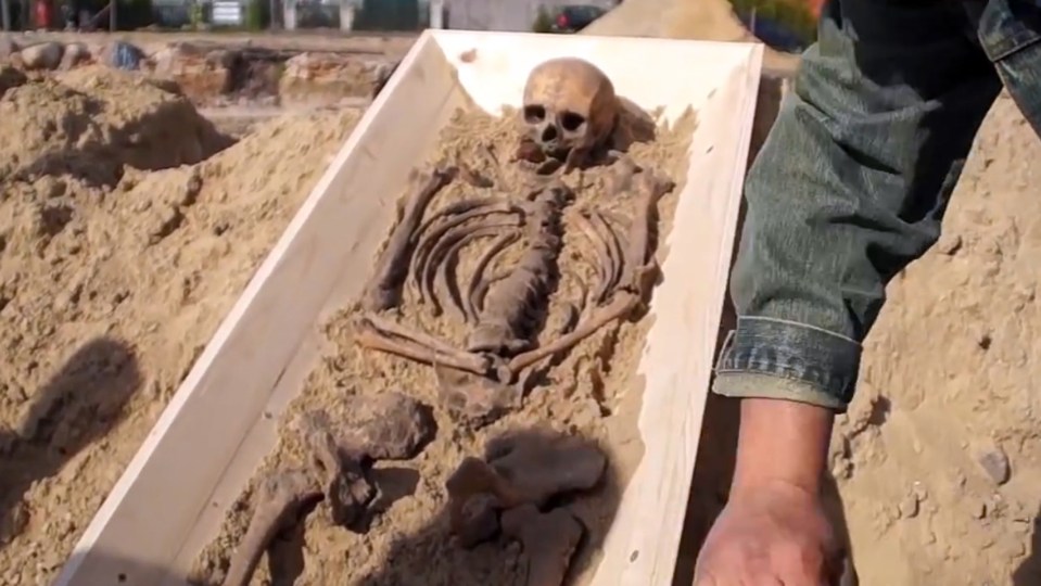 The skeleton was uncovered in a graveyard in a town in northern Poland, where it will go on exhibition at a local museum