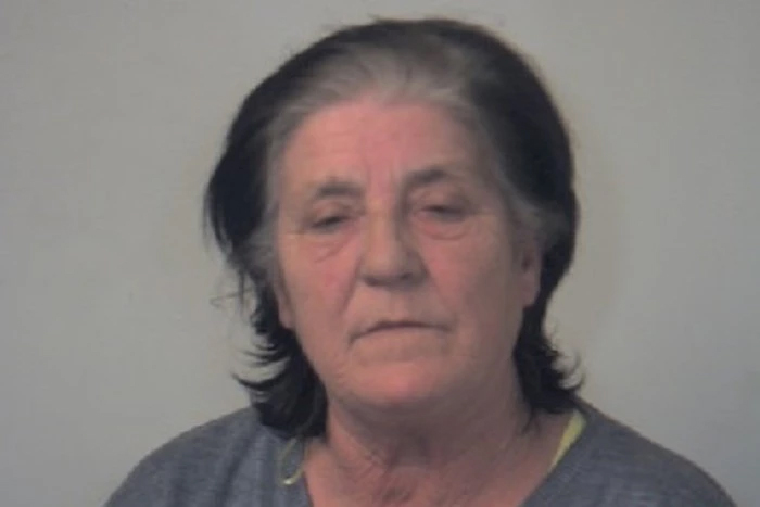 Gran Carol Mitchell has been jailed for her involvement