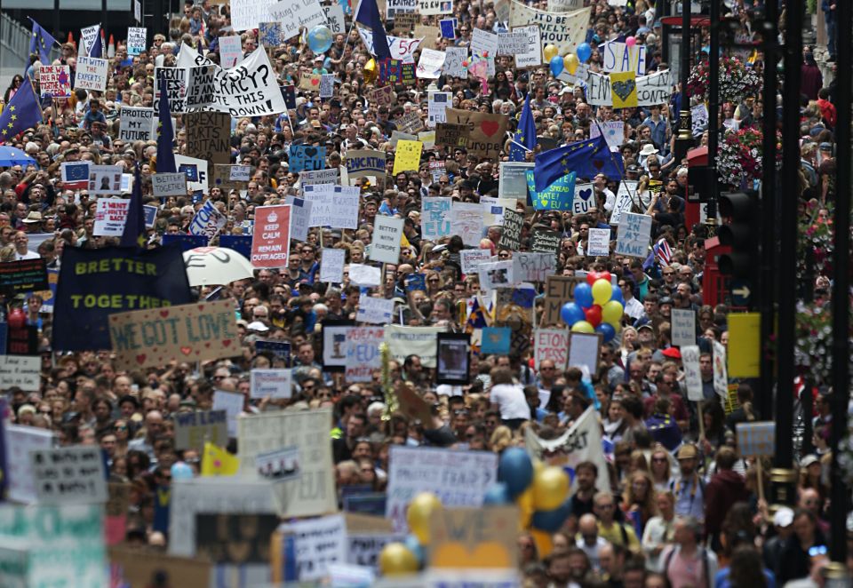  Remain voters have taken part in rallies to show they support the European Union