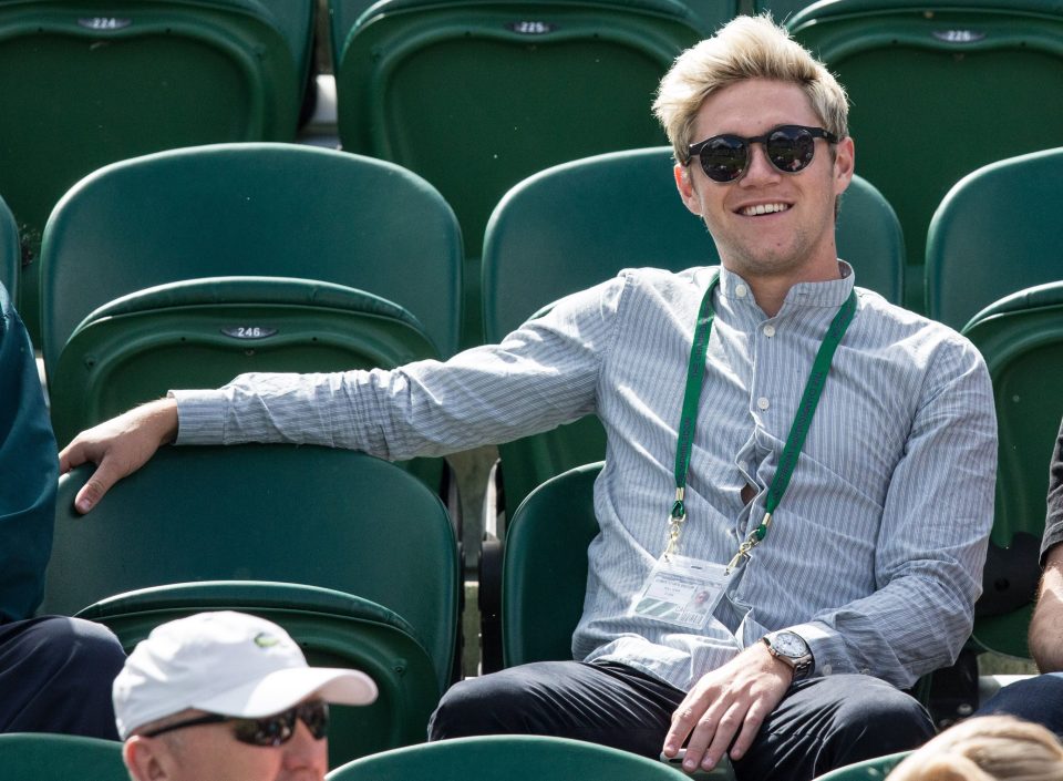 Niall looked relaxed and happy as he watched the action