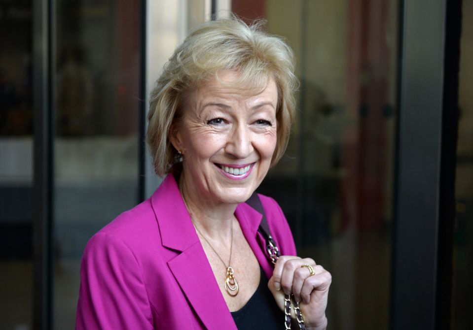  Although a Brexit campaigner, Andrea Leadsom lacks the political experience to be the Prime Minister