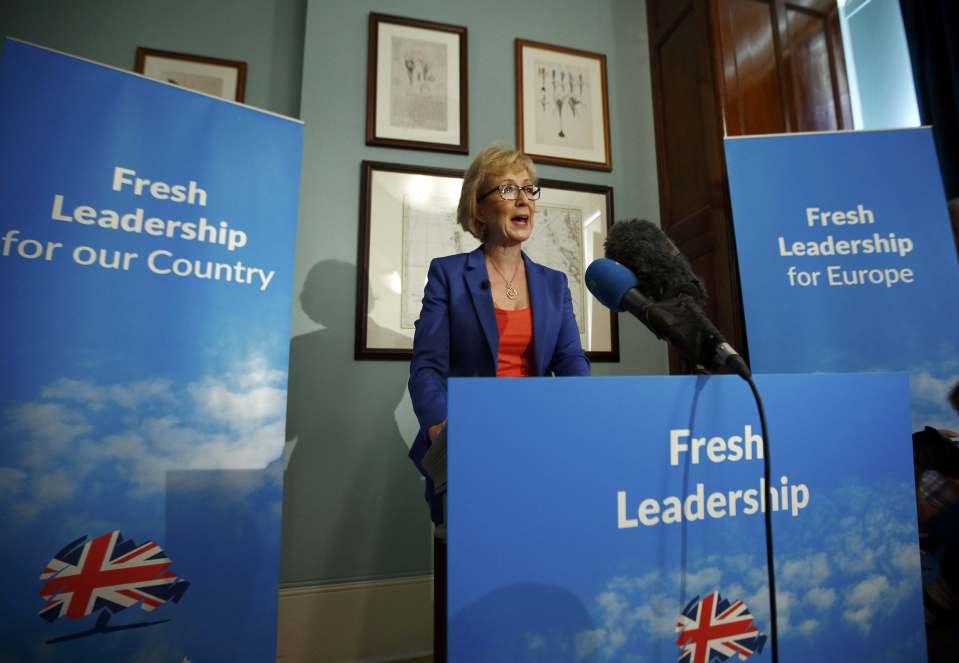  Tory Party leadership candidate Andrea Leadsom says she is better prepared for the EU negotiations than any of her rivals.